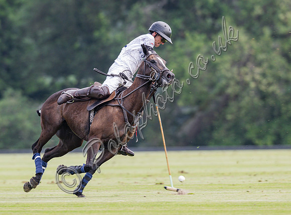 olo action, 2025 Gold Cup, Cowdray Park Polo Club