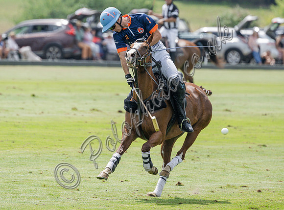 olo action, 2025 Gold Cup, Cowdray Park Polo Club