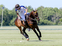 Polo action, Junior Cavalry Cup, Cirencester Park