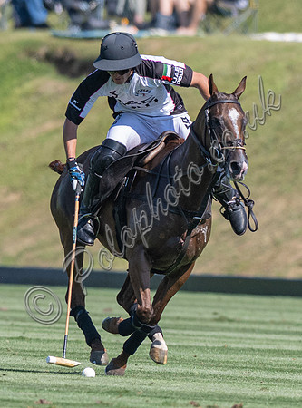 Polo action, 2025 Gold Cup quarter finals, Cowdray Park Polo Club
