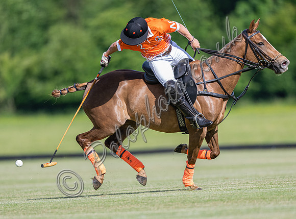 Warwickshire Cup polo 2022 semi-final