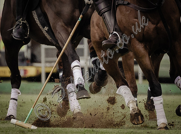 Polo action, Warwickshire Cup, Cirencester Park