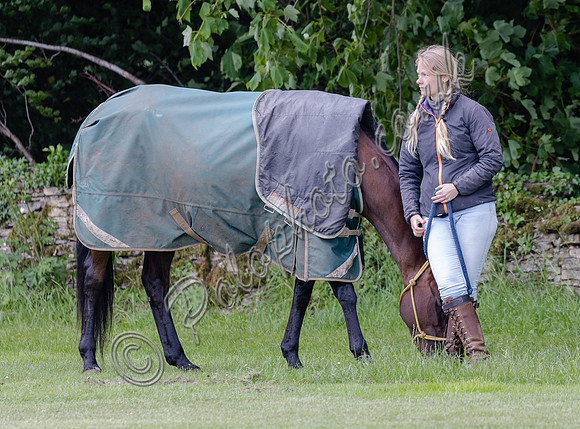 Polo action, Warwickshire Cup, Cirencester Park