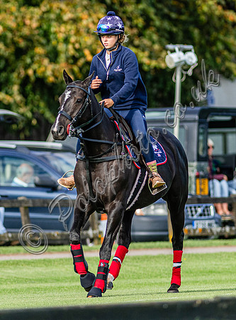 KKB_6387