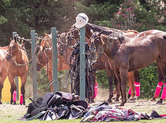 Polo action, 2024 Gold Cup, Cowdray Park Polo Club