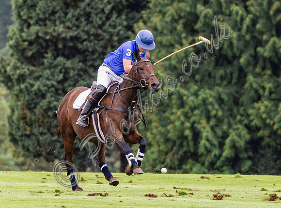 Sue Cudmore Associates subsidiary finals 2023