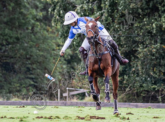 Sue Cudmore Associates subsidiary finals 2023