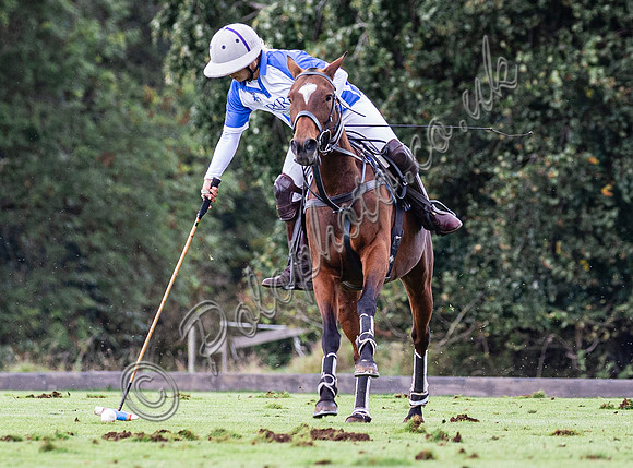Sue Cudmore Associates subsidiary finals 2023