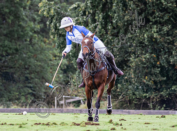 Sue Cudmore Associates subsidiary finals 2023