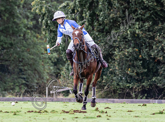 Sue Cudmore Associates subsidiary finals 2023
