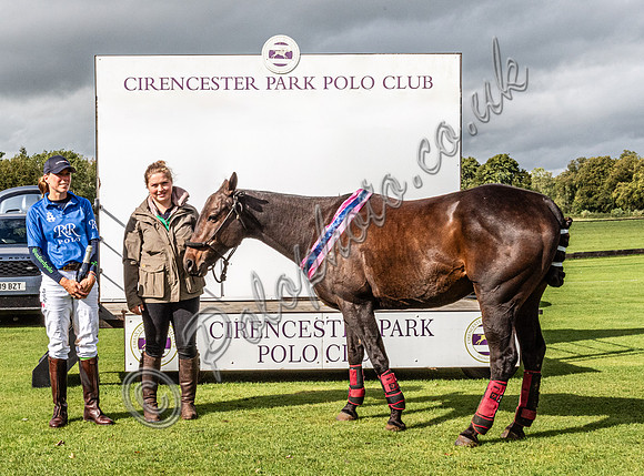 Sue Cudmore Associates subsidiary finals 2023
