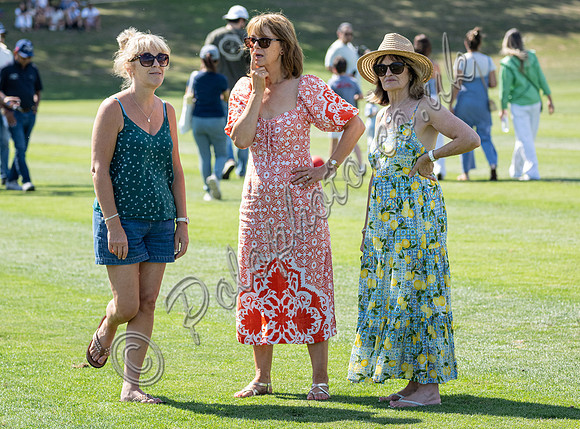 Polo action, 2025 Gold Cup quarter finals, Cowdray Park Polo Club