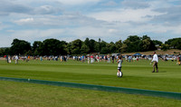 Treading in at polo match