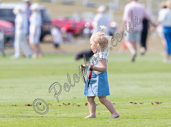 Treading in at polo match