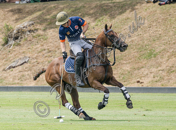 olo action, 2025 Gold Cup, Cowdray Park Polo Club