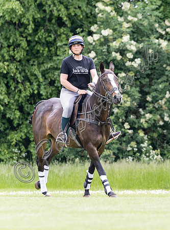 Polo action, June 12 Goal, Cirencester Park