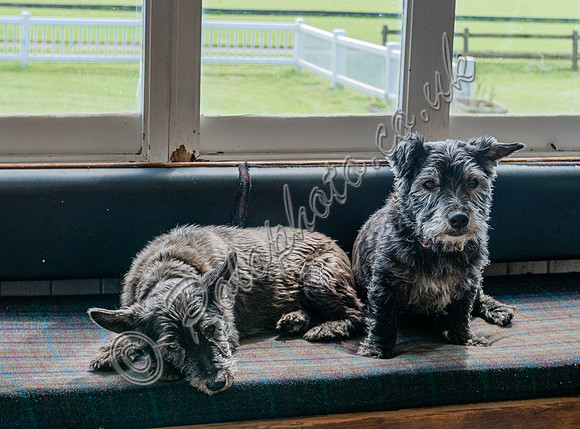 2024 Cirencester Park Polo Club Members Welcome Drinks