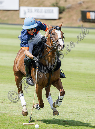 olo action, 2025 Gold Cup, Cowdray Park Polo Club