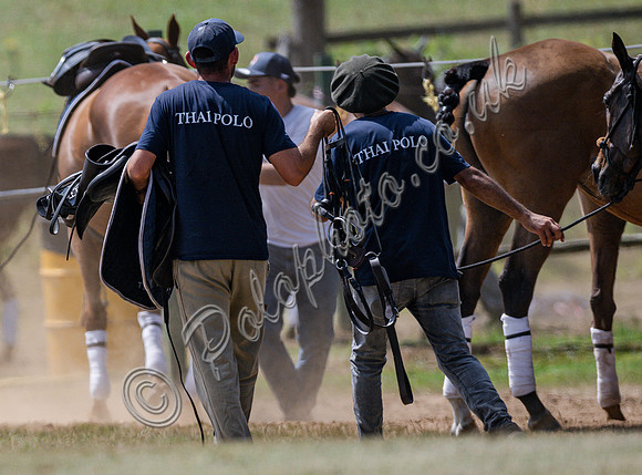 olo action, 2025 Gold Cup, Cowdray Park Polo Club