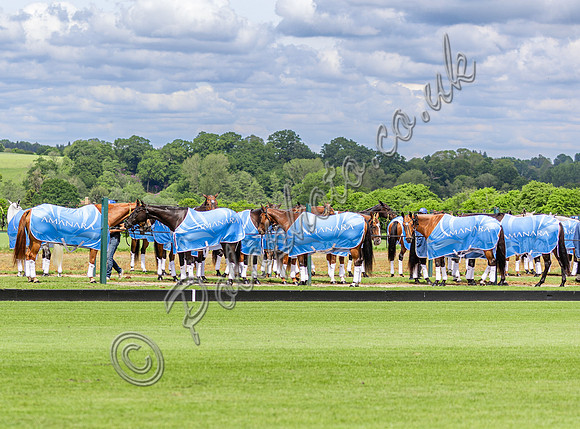 2024 Polo Action - Cicero Cup, Cowdray Park