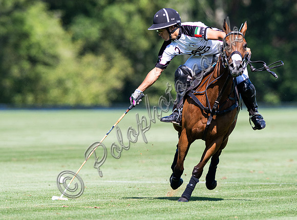 Polo action, 2025 Gold Cup quarter finals, Cowdray Park Polo Club