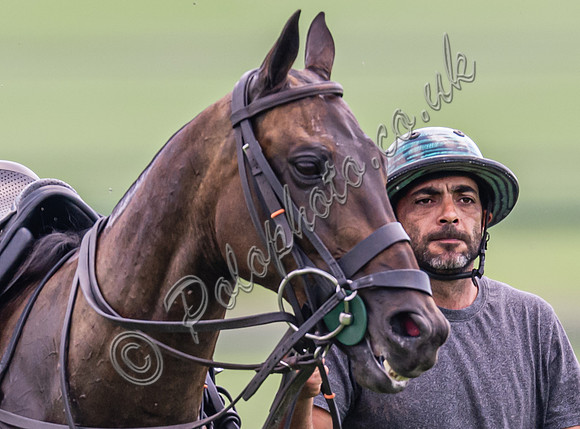 Polo action, 2024 Gold Cup, Cowdray Park Polo Club