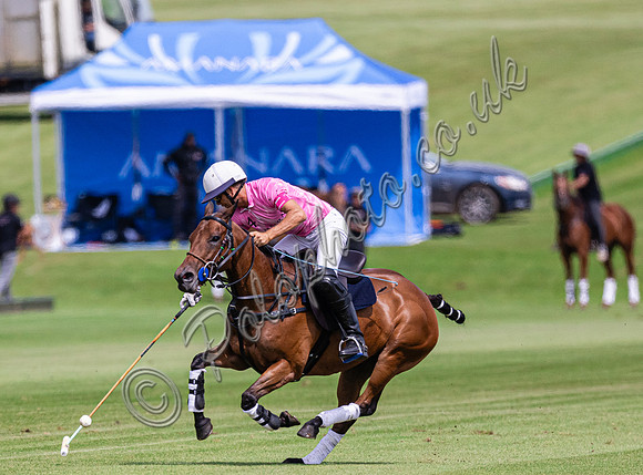 2024 Polo Action - Cicero Cup, Cowdray Park