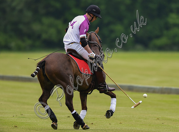 Prince William playing polo