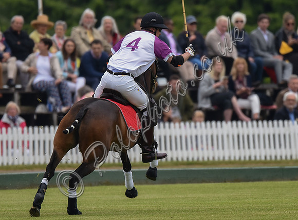 Prince William playing polo