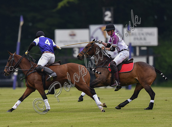 Prince William playing polo