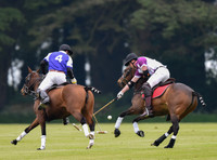 Prince William playing polo