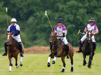 Prince William playing polo
