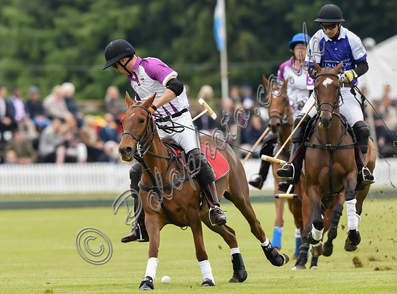 Prince William playing polo