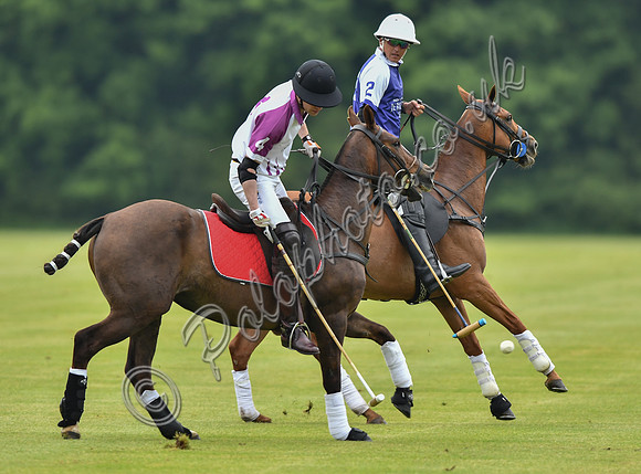 Prince William playing polo