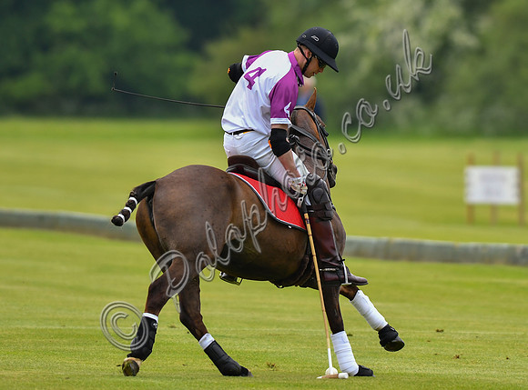 Prince William playing polo