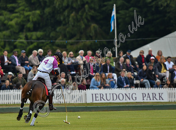 Prince William playing polo
