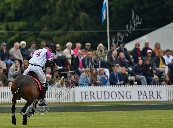 Prince William playing polo