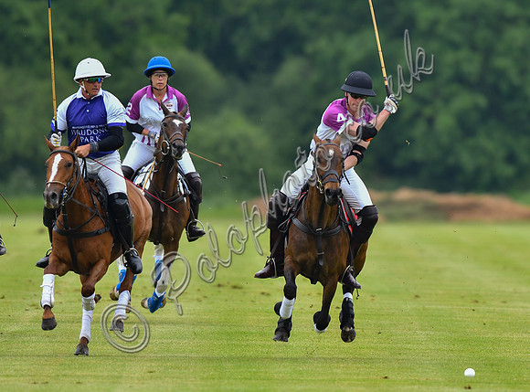 Prince William playing polo