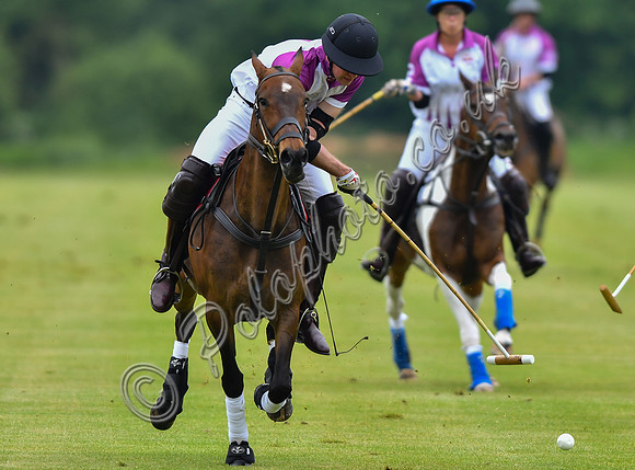 Prince William playing polo