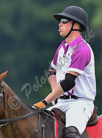 Prince William playing polo