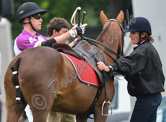 Prince William playing polo
