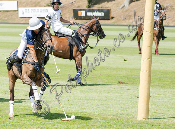 olo action, 2025 Gold Cup, Cowdray Park Polo Club