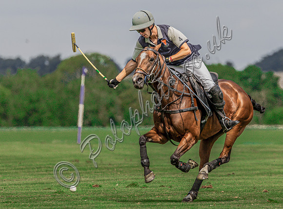 Polo action, The Neil Hague Cup, Cirencester Park