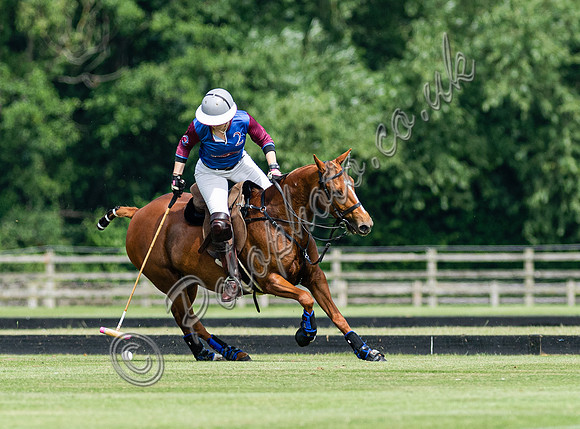 Ladies 16 Goal series