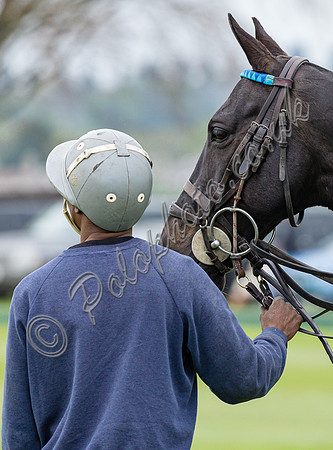 Polo action, 2022 Tyro Cup, Cowdray Park Polo Club