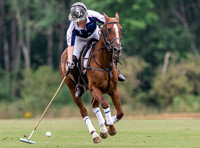 Chloe Horswell, polo player