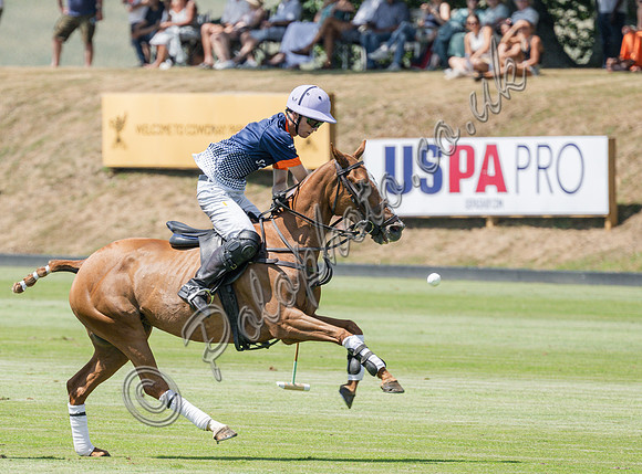 olo action, 2025 Gold Cup, Cowdray Park Polo Club