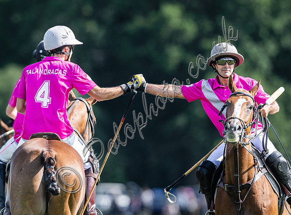 Polo action and presentation - 2024 Gold Cup, Cowdray Park Polo Club