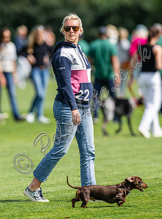 Polo action and presentation - 2024 Gold Cup, Cowdray Park Polo Club