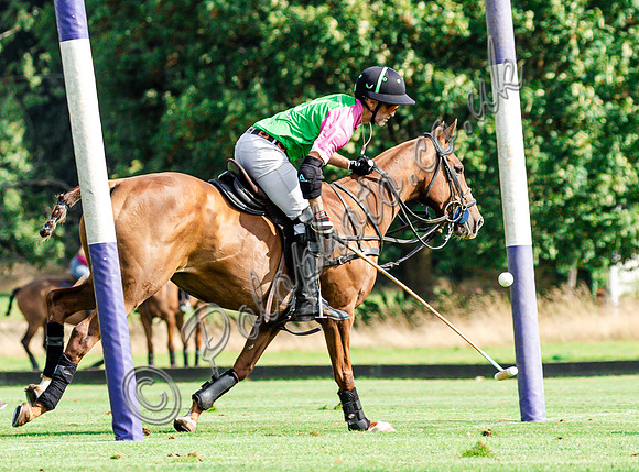 Polo action and presentation of the Syreford Plate NPM subsidiary at Cirencester Park